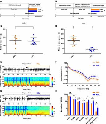 Monochromatic Blue Light Activates Suprachiasmatic Nucleus Neuronal Activity and Promotes Arousal in Mice Under Sevoflurane Anesthesia